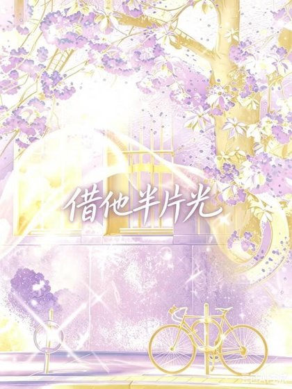借他半片光